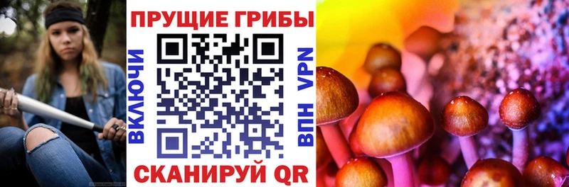 MEGA ONION  Менделеевск  Галлюциногенные грибы Psilocybe  купить закладку 