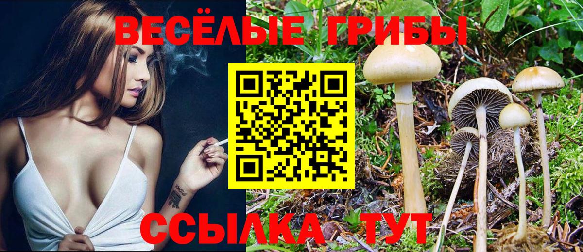 Галлюциногенные грибы Psilocybine cubensis  Вход с VPN  Менделеевск 