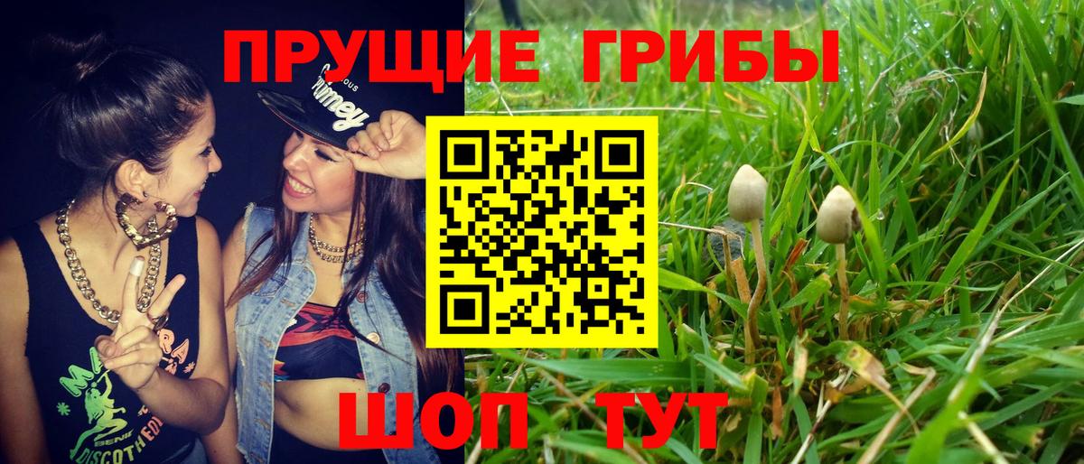 Галлюциногенные грибы Cubensis  как найти наркотики  Менделеевск  Вход с VPN 